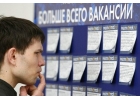 Ищу дистрибьютора