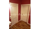 Продажа дверей от магазина ProfilDoors