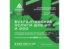 Бухгалтерские услуги и сопровождение для ИП и ООО
